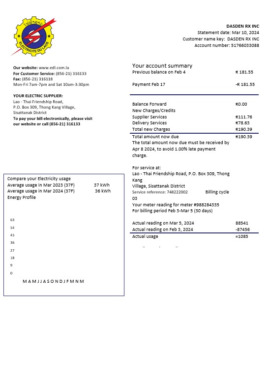 Laos Electricite du Laos electricity business utility bill template in Word and PDF formats
